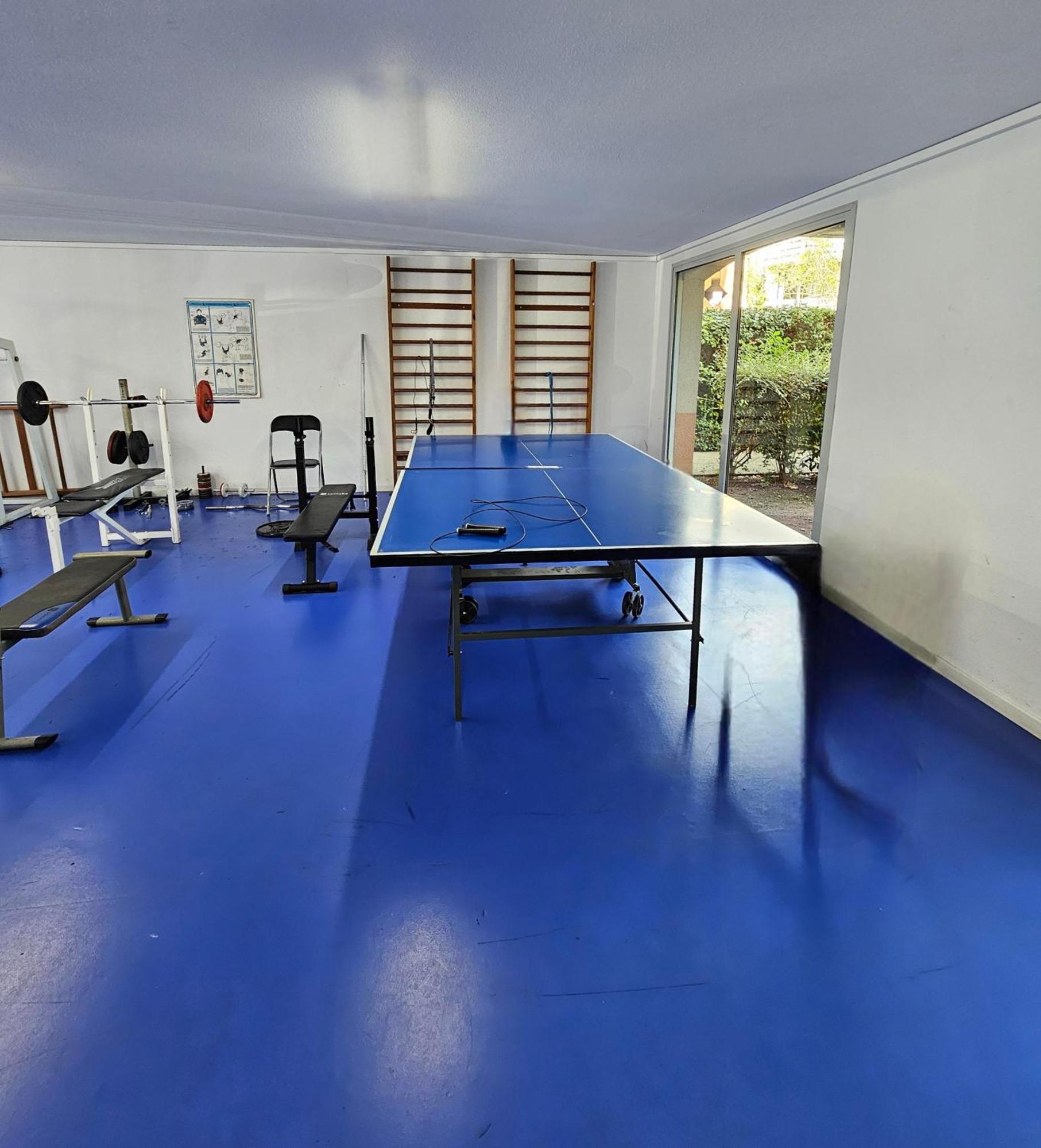 T2 Havre De Paix 2 A 4 P - Terrasse - Parking - Piscine - Salle Sport - Tennis Toulouse Buitenkant foto